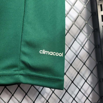 Palmeiras Home 14/15 Centenario Retro