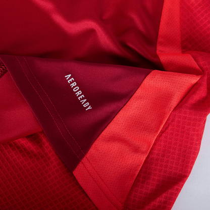 Manchester United home 24/25