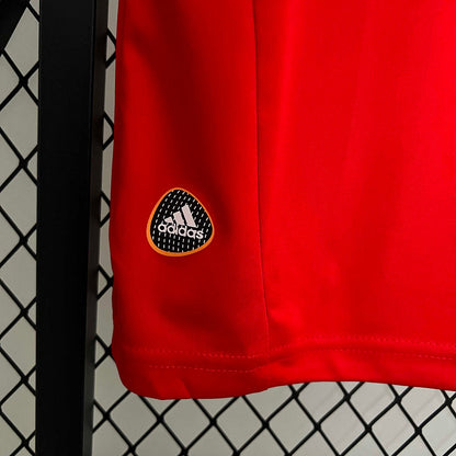 Espanha home 2010 Retro