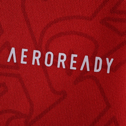 Arsenal Home Jersey 2025/26 Long Sleeve